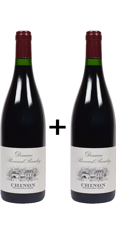 1+1 ברנרד בודרי שינון